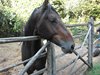 CIMG0444