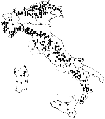 Italia