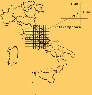 Disegno di campionamento (fonte: archivio ISAFA) Disegno di campionamento (fonte: archivio ISAFA)