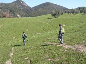 Forestali in localizzazione punto campionamento