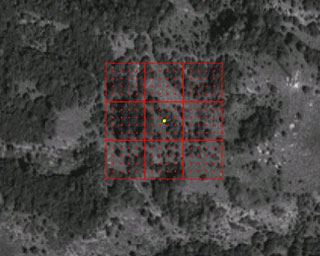 Intorno di analisi su ortofoto (fonte: GIS WEB SIM)"
