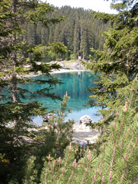 Lago di Carezza - Fonte: archivio ISAFA >Lago di Carezza - Fonte: archivio ISAFA