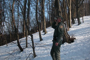 Misurazione dell'altezza di un albero con vertex (terza fase INFC2005)