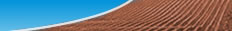 logo sian